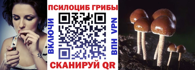 где продают наркотики  Курильск  Псилоцибиновые грибы мицелий 