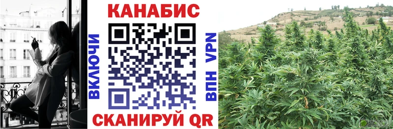 Марихуана гибрид  Курильск 